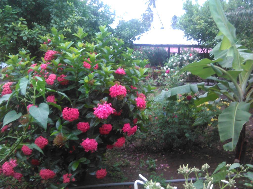 Hostal La Cascada San Ramon Mérida エクステリア 写真