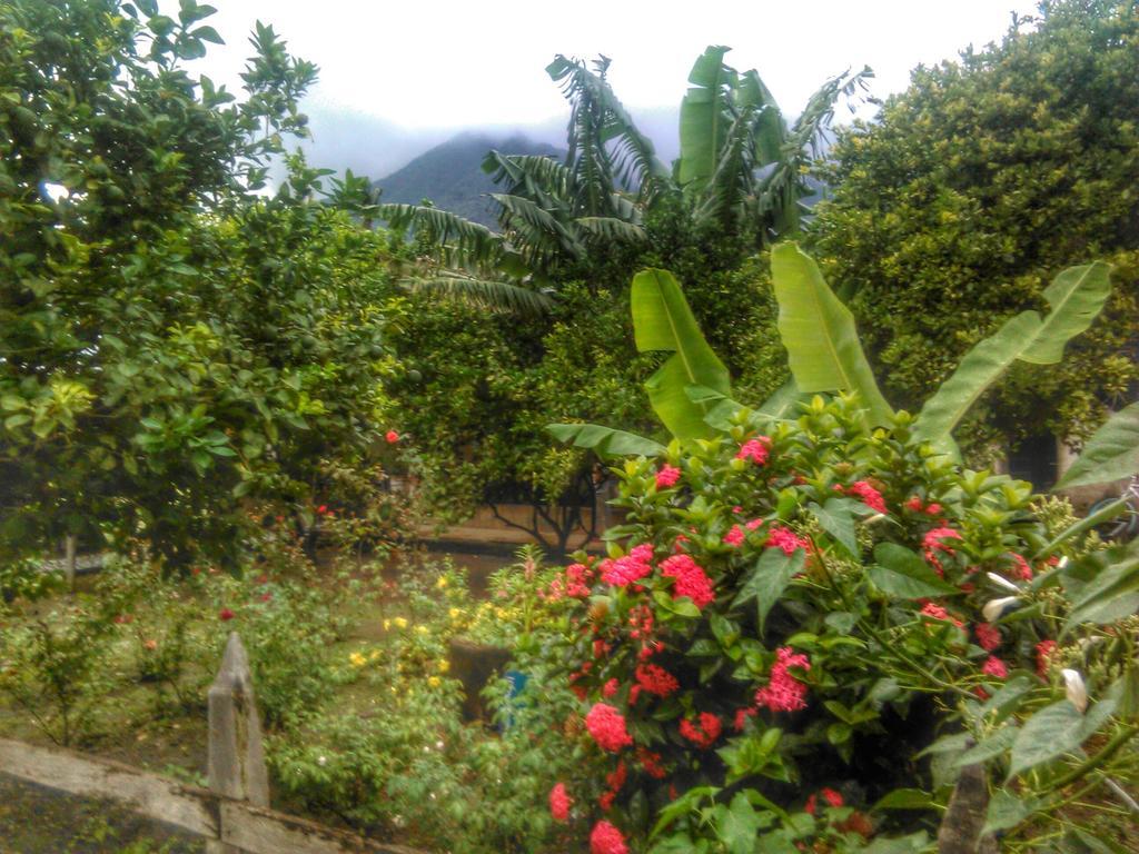 Hostal La Cascada San Ramon Mérida エクステリア 写真