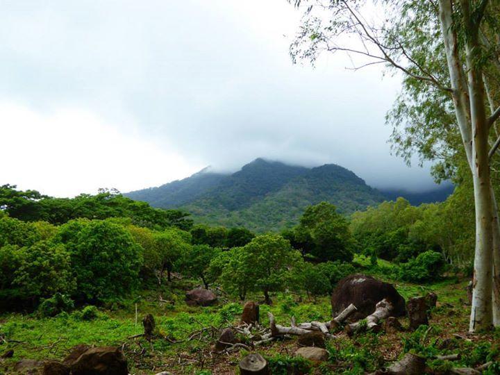 Hostal La Cascada San Ramon Mérida エクステリア 写真