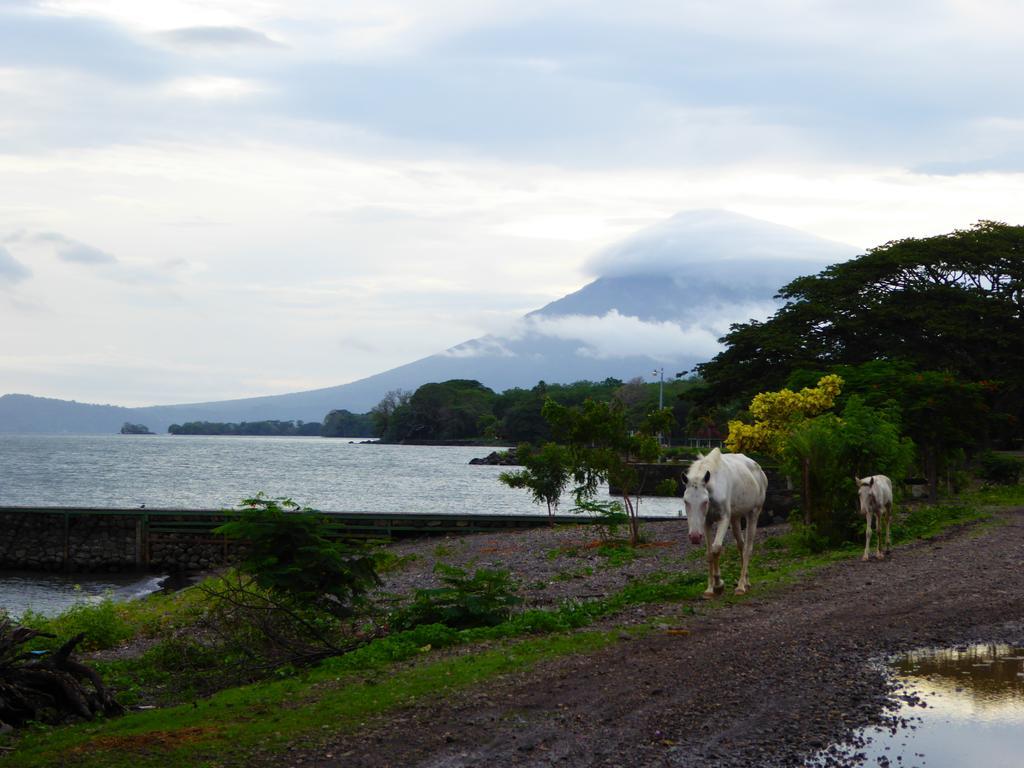 Hostal La Cascada San Ramon Mérida エクステリア 写真