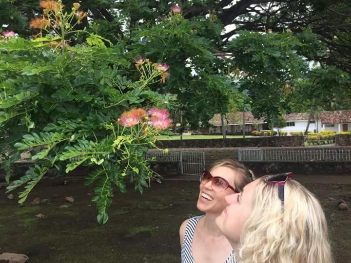 Hostal La Cascada San Ramon Mérida エクステリア 写真